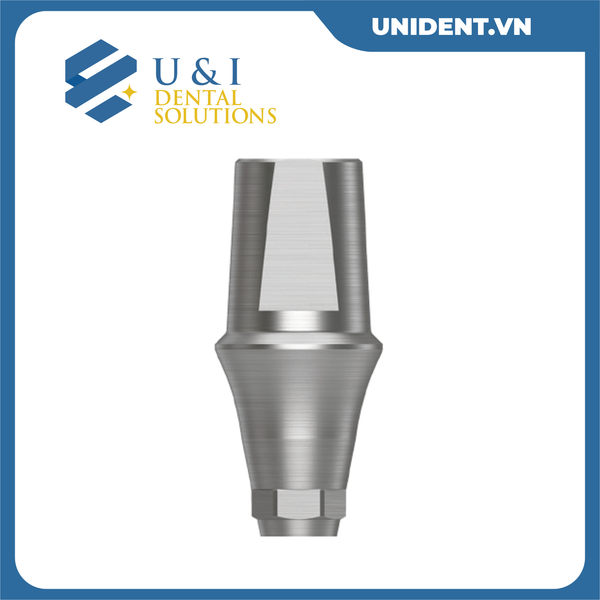  TRANSFER ABUTMENT 