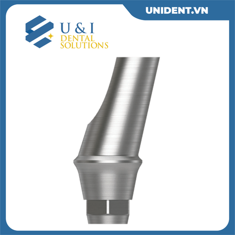  ANGLED ABUTMENT 