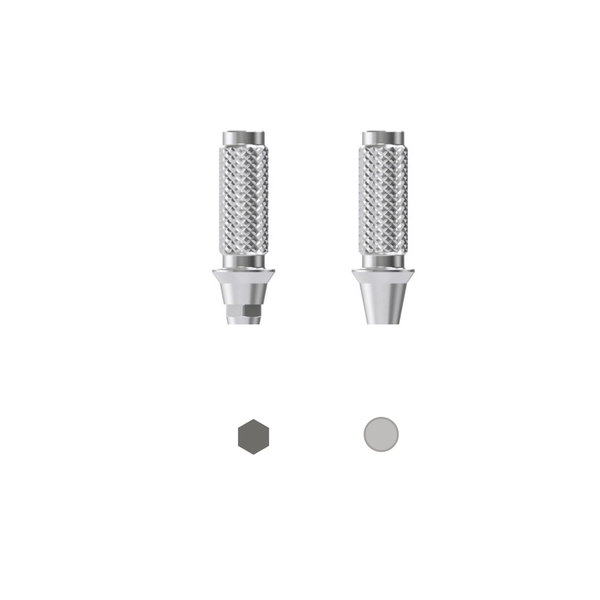 TEMPORARY ABUTMENT 