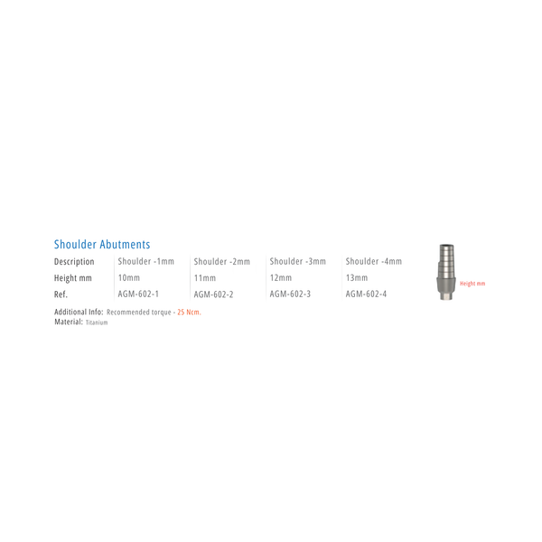 SHOULDER ABUTMENT 