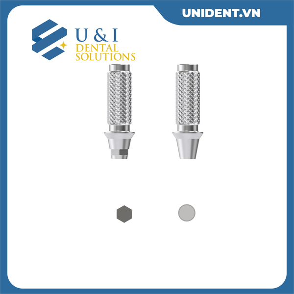  TEMPORARY ABUTMENT 