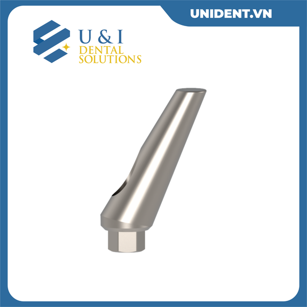  25° ANGULATED ABUTMENT 