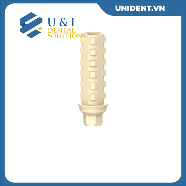  TEMPORARY ABUTMENT A 