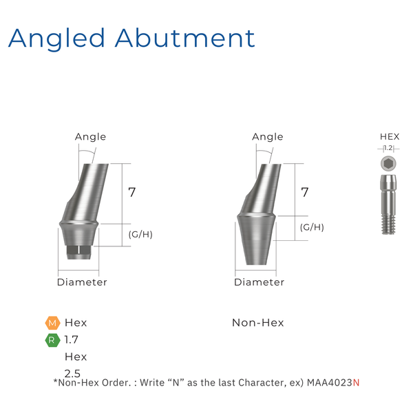  ANGLED ABUTMENT 