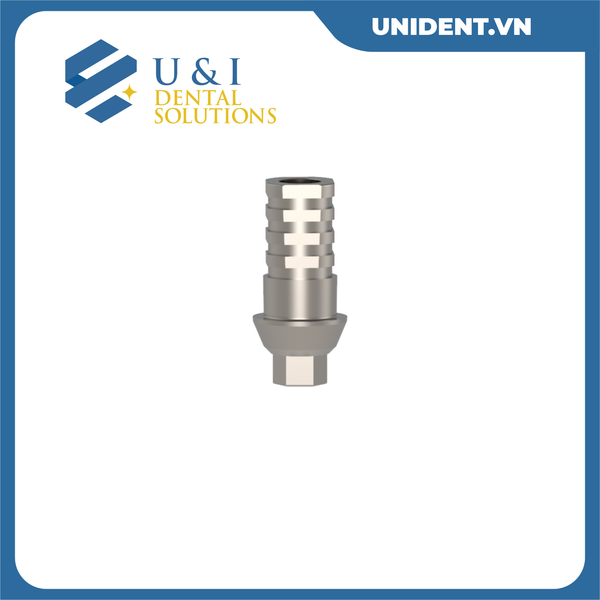  TEMPORARY ABUTMENT A 