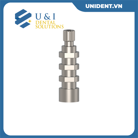  SINGLE UNIT ABUTMENTS 