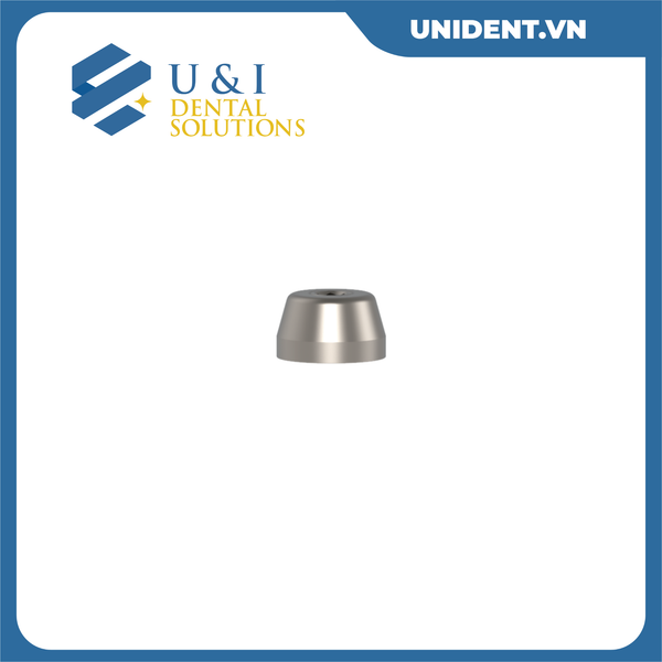  SINGLE UNIT ABUTMENTS 