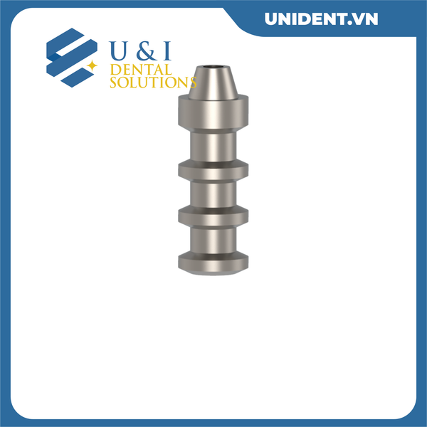  SINGLE UNIT ABUTMENTS 