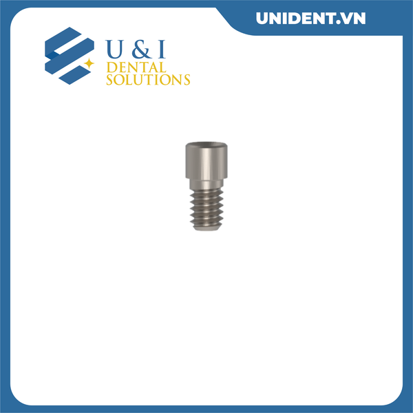  SINGLE UNIT ABUTMENTS 