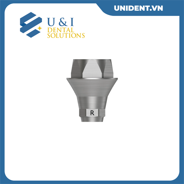  SCAN-MOUNT ABUTMENT 