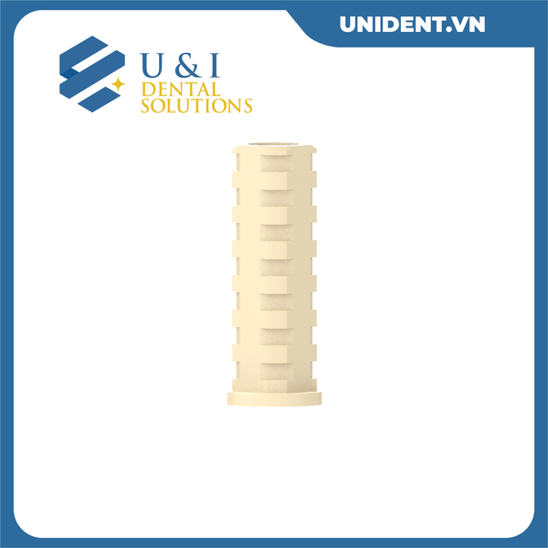 SINGLE UNIT ABUTMENTS 
