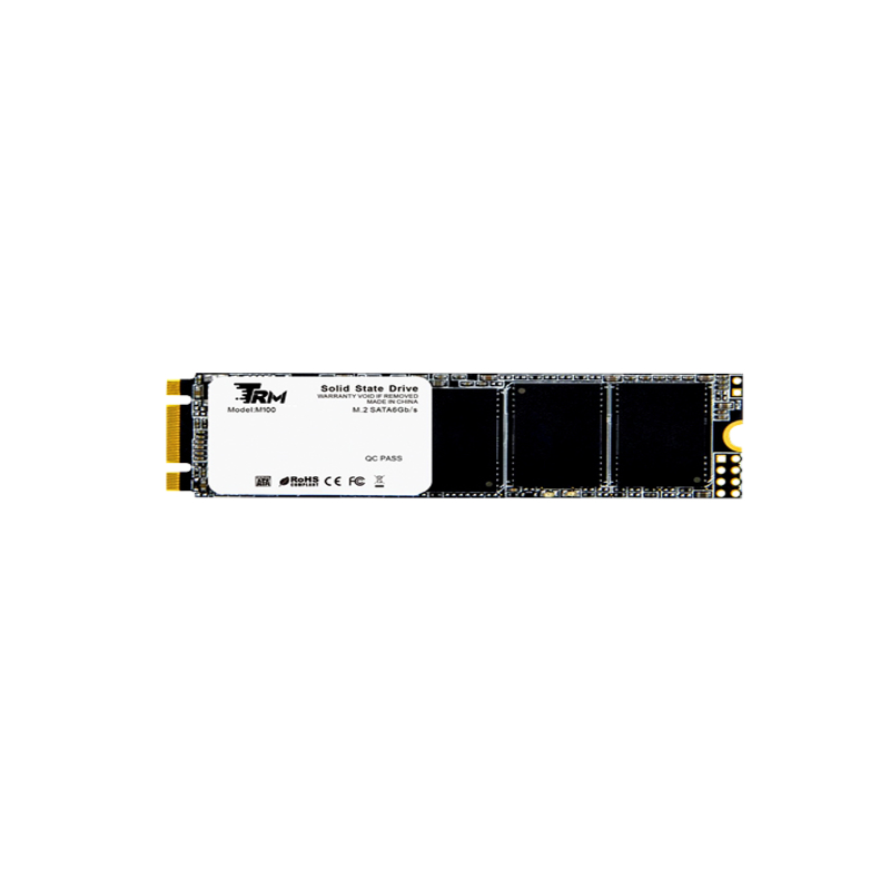Ổ SSD TRM M100 256Gb M.2 SATA3