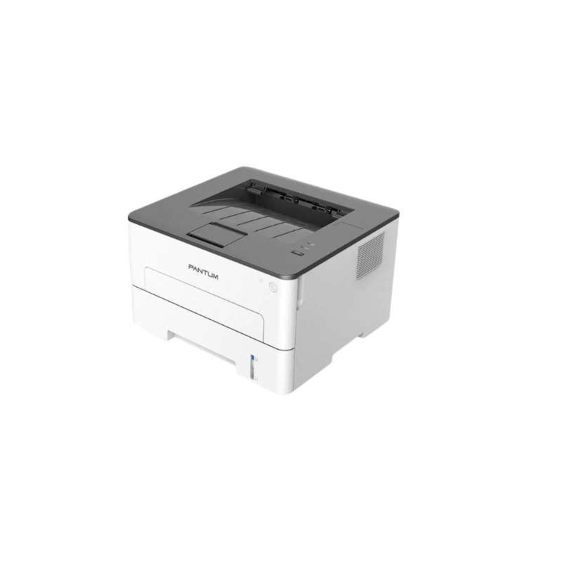 Máy in Laser Pantum P3010D