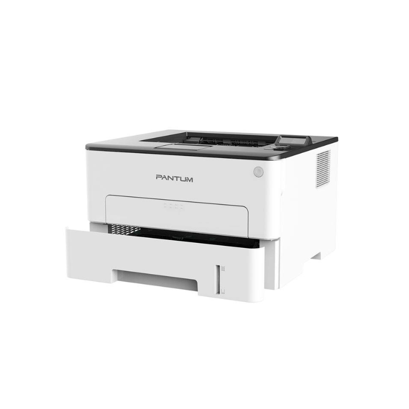 Máy in Laser Pantum P3010DW