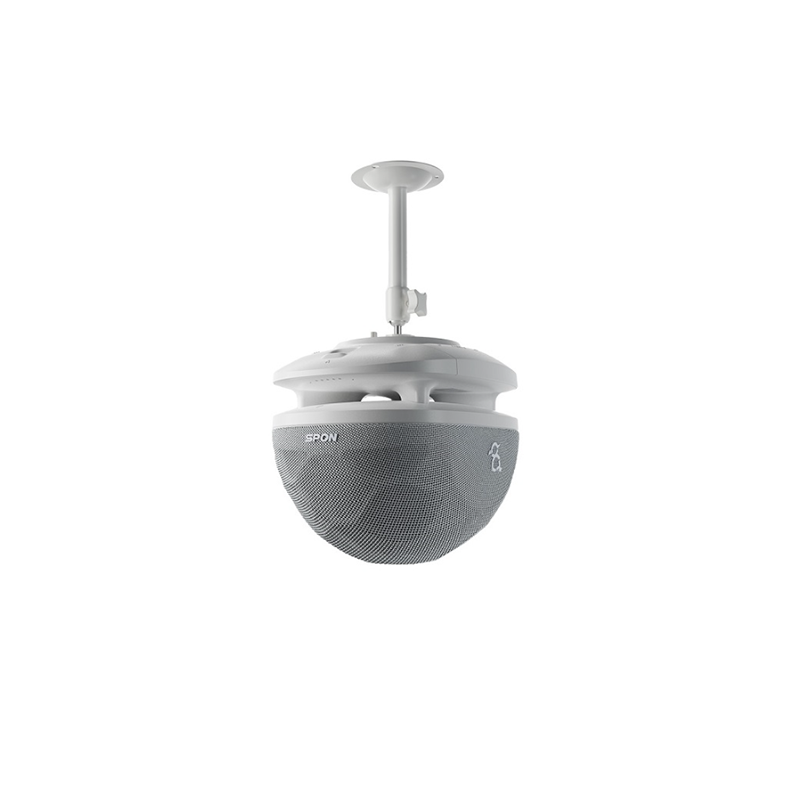 NXT-3602- LOA IP BLUETOOTH SPON 30W