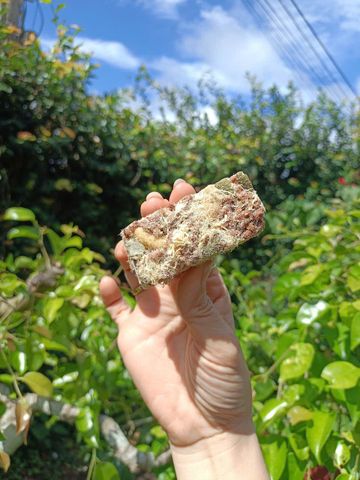  Thanh gạo lứt vị chà bông  500gram 