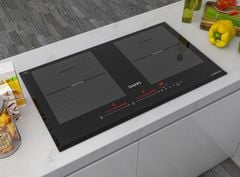 Bếp từ Dann DS-IB999 EGS