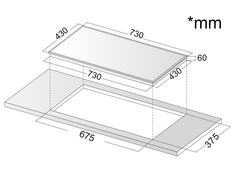 Bếp từ Dann DS-IB999 EGS