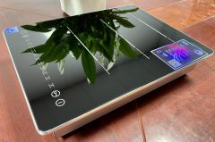 Bếp từ đơn Prato PT-1126.S công suất 2800W