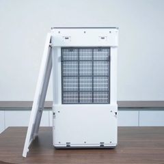 Máy hút ẩm Sharp DW-T30HV-W 30L