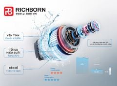 Máy rửa bát Richborn RDP6080SPB 16 bộ
