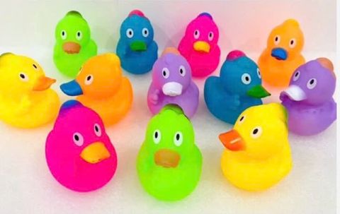 Đồ Chơi OT Túi Vịt 12 con