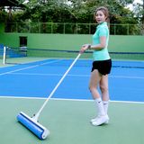  Cây lau khô nước sân Tennis 