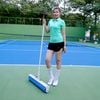 Cây lau khô nước sân Tennis