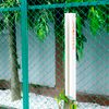 Hộp bảo quản bóng Tennis (Combo 3 hộp)