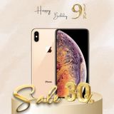  iPhone Xs 