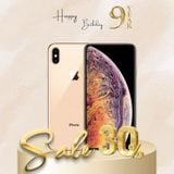  iPhone Xs Max 