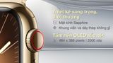  Apple Watch Series 9 GPS + Cellular 45mm viền thép dây thép 
