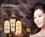  JEJU TANGERINE HAIR 3 SET – Bộ 3 sản phẩm dành cho tóc J1JOA Jeju Tangerine 