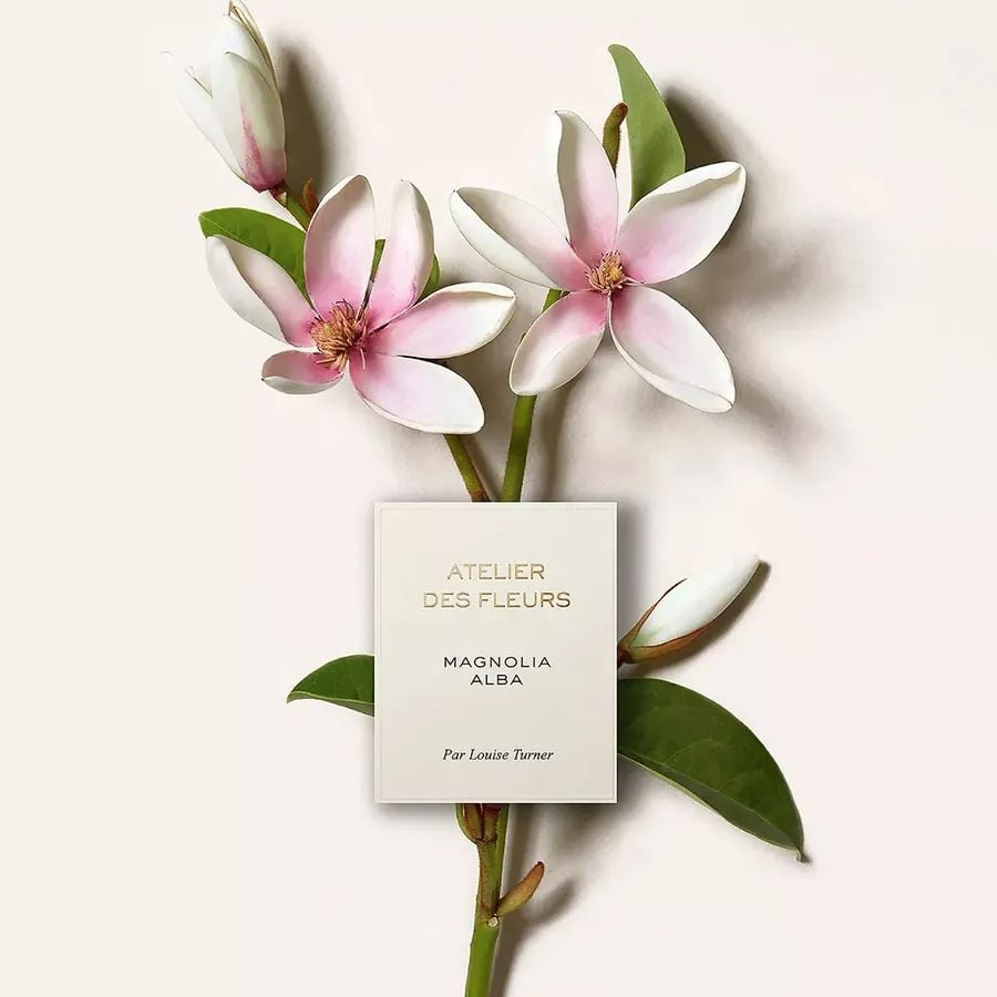 Nước Hoa Nữ Chloé Atelier Des Fleurs Magnolia Alba EDP 150ml – HT