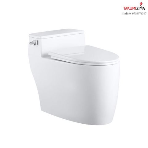 Bồn cầu liền khối Tkm-106