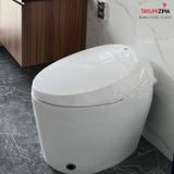 Bồn cầu thông minh TKM-120