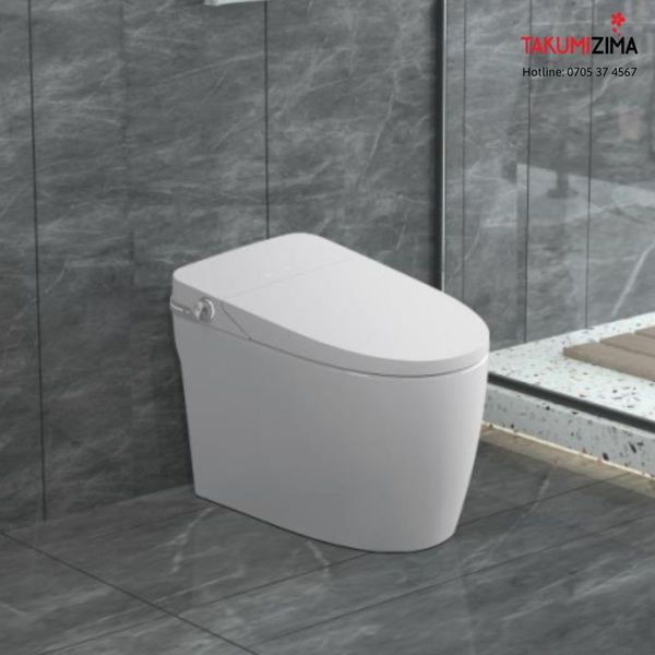 Bồn cầu thông minh liền khối