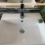 Chậu rửa dương bàn Bs-220