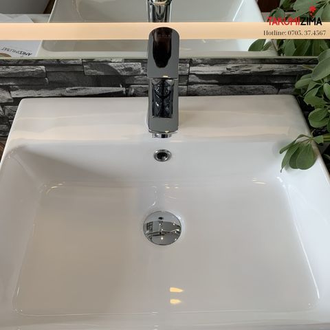 Chậu rửa dương bàn Bs-220