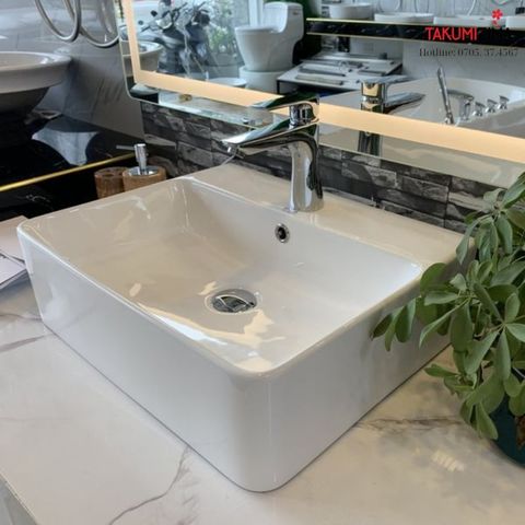 Chậu rửa dương bàn Bs-220