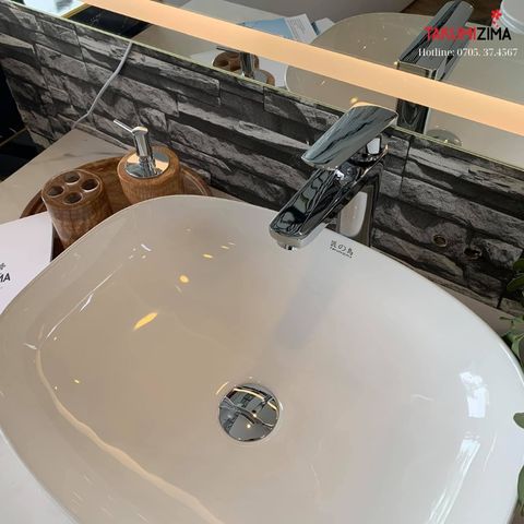 Chậu rửa dương bàn BS-698B