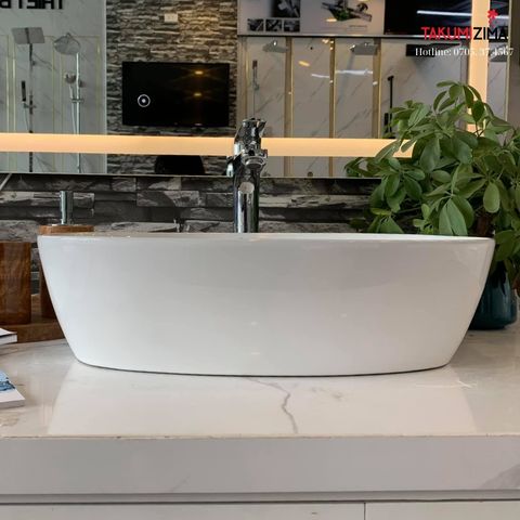 Chậu rửa dương bàn BS-698B