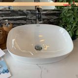 Chậu rửa dương bàn BS-698B