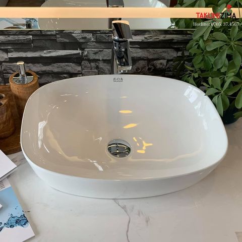 Chậu rửa dương bàn BS-698B