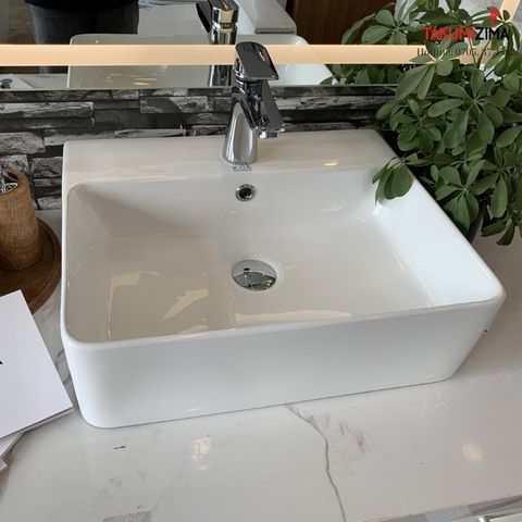 Chậu rửa dương bàn Bs-220