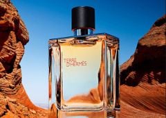 Nước hoa HERMES Terre EDT