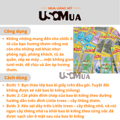 Thông Thơm LITTLE TREES Peachy Peach