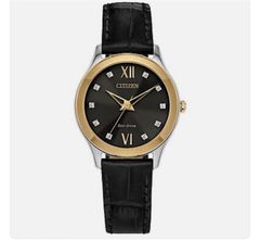 Đồng Hồ CITIZEN EM1018-08E