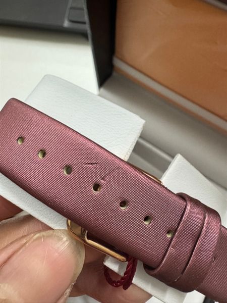 Đồng Hồ BURGI Quartz BUR143