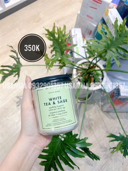Nến Thơm BATH & BODY WORKS BBW